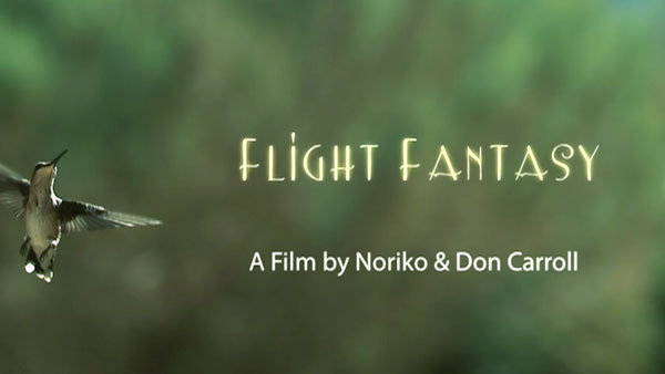 Flight Fantasy
